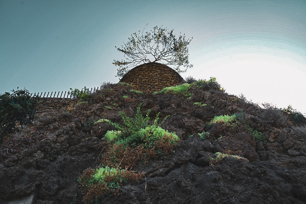 Pared exterior de La Casa Verda integrada con roca volcánica y vegetación.